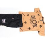Boys t-Shirt & Short Pant-01 - Image 2