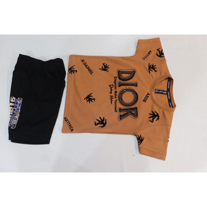 Boys t-Shirt & Short Pant-01 - Image 4
