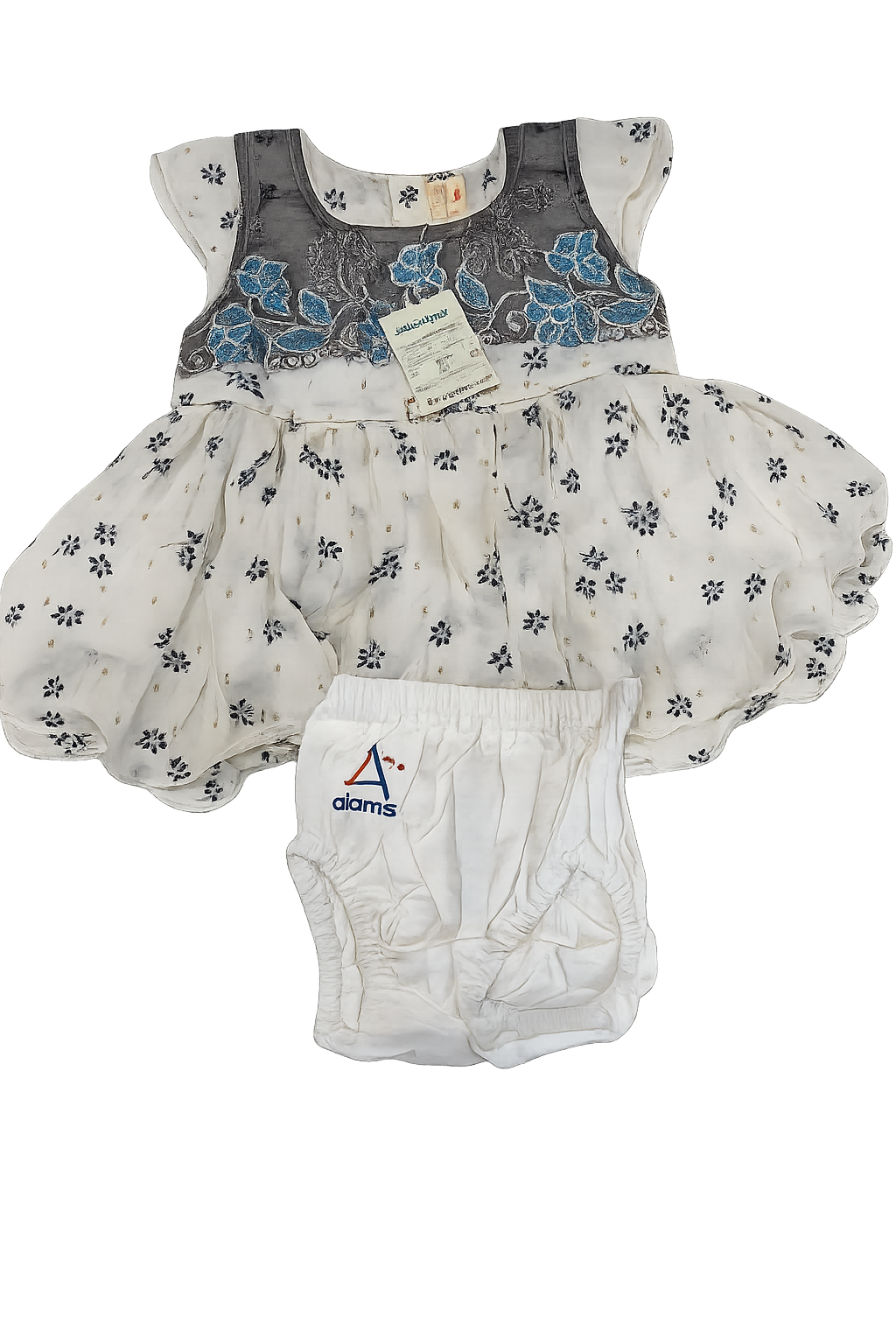 202605200753341-2.png Snow Blossom Baby Dress - Image 1